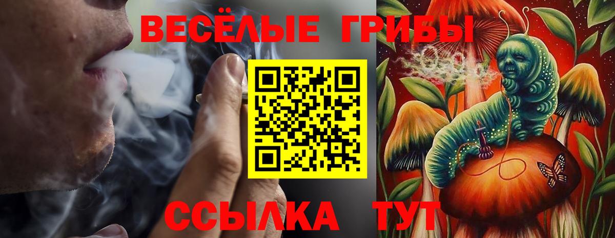 Псилоцибиновые грибы Psilocybine cubensis  Вход с VPN  где купить наркотик  Первоуральск 